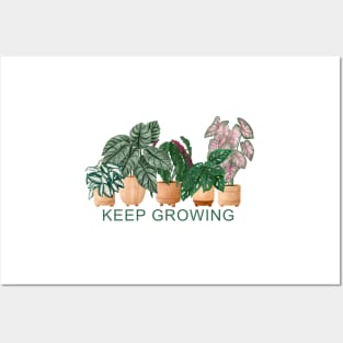 Keep Growing, House Plants Illustration 7 Posters and Art